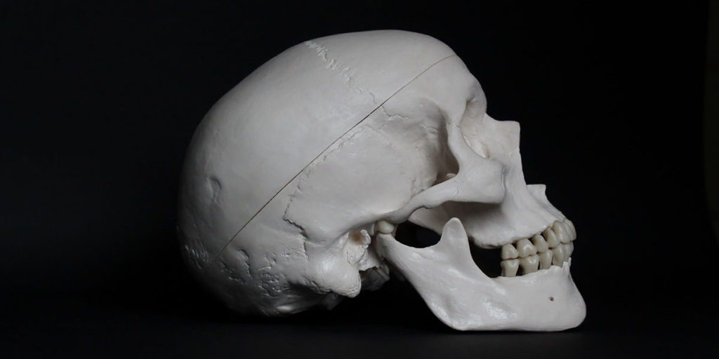 human skull on a black background